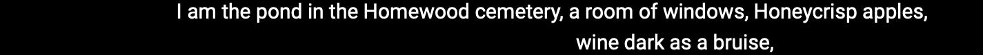 Self-Portrait with Origin Story stanza 9